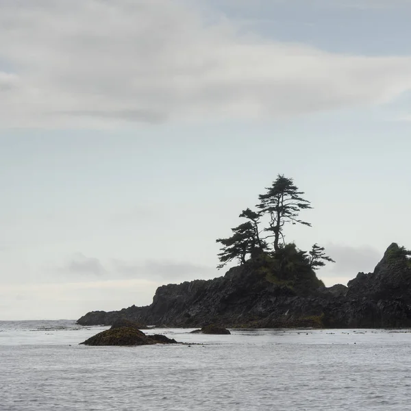 Θέα Της Ακτής Skeena Queen Charlotte Περιφερειακής Περιοχής Haida Gwaii — Φωτογραφία Αρχείου