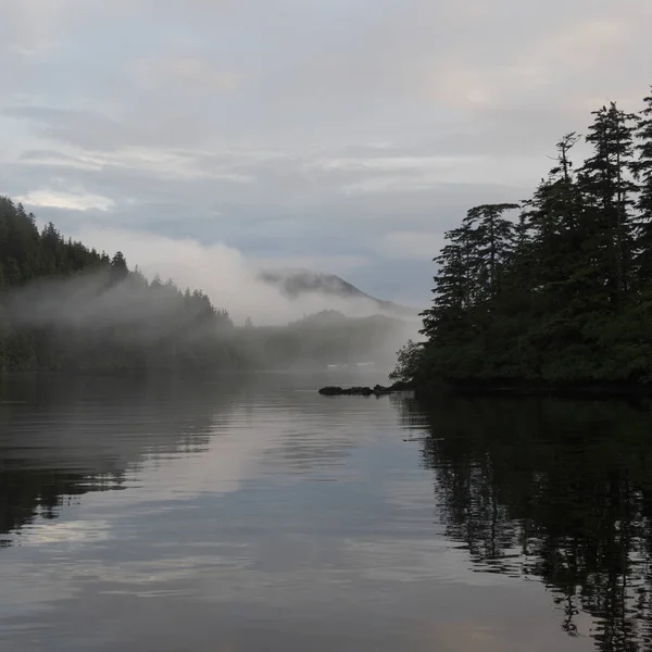 Άποψη Του Ομιχλώδες Ακτή Skeena Queen Charlotte Περιφερειακής Περιοχής Haida — Φωτογραφία Αρχείου