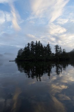Yaprak dökmeyen ağaçlar sahilinde, Skeena-Kraliçe Charlotte bölge bölge, Haida Gwaii, Graham Adası, British Columbia, Kanada