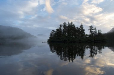 Yansıma ve ağaçlarının su, Skeena-Kraliçe Charlotte bölge bölge, Haida Gwaii, Graham Adası, British Columbia, Kanada