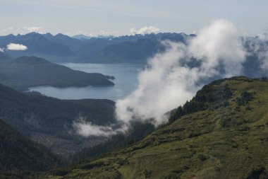 Görünüm kıyılarının, Skeena-Kraliçe Charlotte bölge bölge, Haida Gwaii, Graham Adası, British Columbia, Kanada
