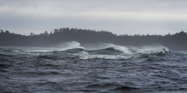 Pasifik Okyanusu, Skeena-Kraliçe Charlotte bölge bölge, Haida Gwaii, Graham Adası, British Columbia, Kanada dalgalarda