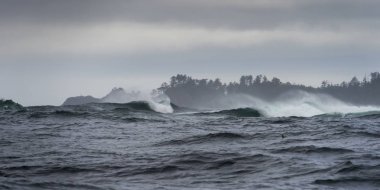 Pasifik Okyanusu, Skeena-Kraliçe Charlotte bölge bölge, Haida Gwaii, Graham Adası, British Columbia, Kanada dalgalarda