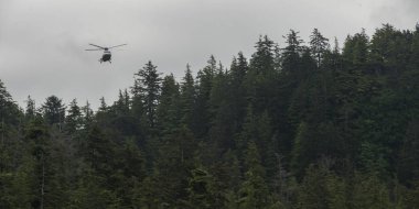Helikopter bir orman üzerinde uçan Skeena-Kraliçe Charlotte bölge bölge, Haida Gwaii, Graham Adası, British Columbia, Kanada