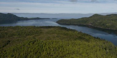 Pasifik Okyanusu, Skeena-Kraliçe Charlotte bölge bölge, Haida Gwaii, Graham Adası, British Columbia, Kanada Adaları