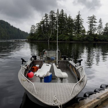 Dock, Skeena-Kraliçe Charlotte bölge bölge, Haida Gwaii, Graham Adası, British Columbia, Kanada, balıkçı teknesi