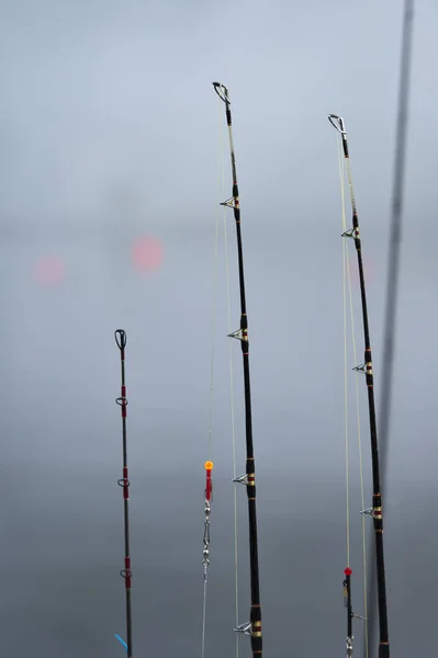 View Fishing Rods Row Skeena Queen Charlotte Regional District Haida — Stock Photo, Image
