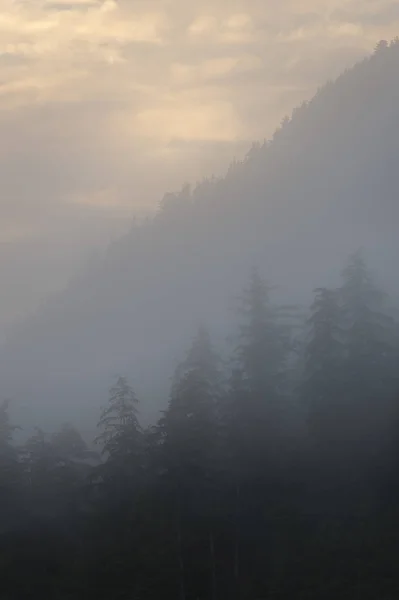 Floresta Nebulosa Distrito Regional Skeena Queen Charlotte Haida Gwaii Graham — Fotografia de Stock