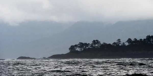 Δέντρα Ένα Νησί Skeena Queen Charlotte Περιφερειακής Περιοχής Haida Gwaii — Φωτογραφία Αρχείου