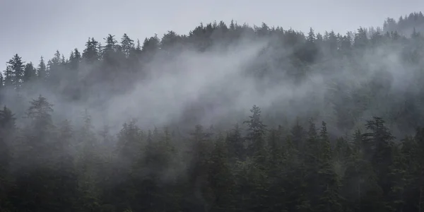 Mgła Nad Drzew Wyspie Skeena Queen Charlotte Regional District Haida — Zdjęcie stockowe