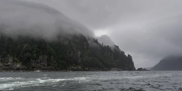 Δέντρα Ένα Νησί Skeena Queen Charlotte Περιφερειακής Περιοχής Haida Gwaii — Φωτογραφία Αρχείου