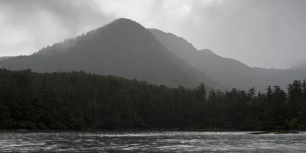 Drzewa Lesie Góry Tle Skeena Queen Charlotte Regional District Haida — Zdjęcie stockowe