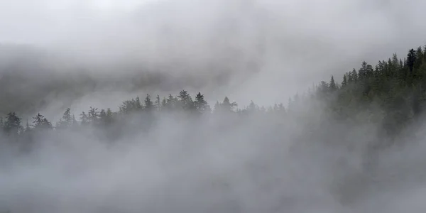 Niebla Sobre Árboles Distrito Regional Skeena Queen Charlotte Haida Gwaii —  Fotos de Stock