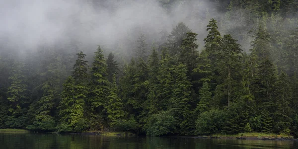 Ομίχλη Πάνω Από Δέντρα Skeena Queen Charlotte Περιφερειακής Περιοχής Haida — Φωτογραφία Αρχείου