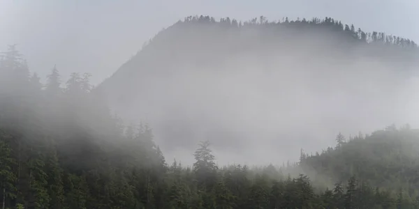 Nevoeiro Sobre Árvores Distrito Regional Skeena Queen Charlotte Haida Gwaii — Fotografia de Stock
