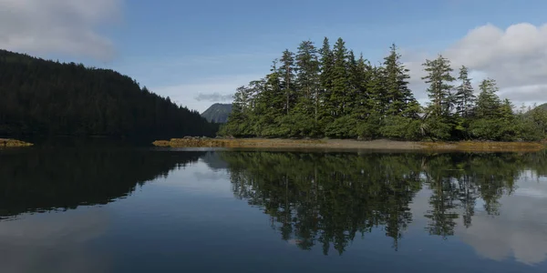 Odraz Stromů Vodě Skeena Queen Charlotte Regionální Okres Haida Gwaii — Stock fotografie