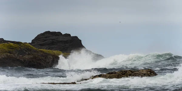 Olas Rompiendo Costa Distrito Regional Skeena Queen Charlotte Haida Gwaii — Foto de Stock