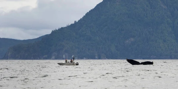 Balena Con Barca Pesca Nell Oceano Pacifico Distretto Regionale Skeena — Foto Stock