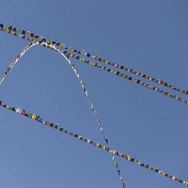 Düşük açılı görünüş dua bayrakları, Taktsang Manastırı, Paro, Paro District, vadi: Paro, Bhutan