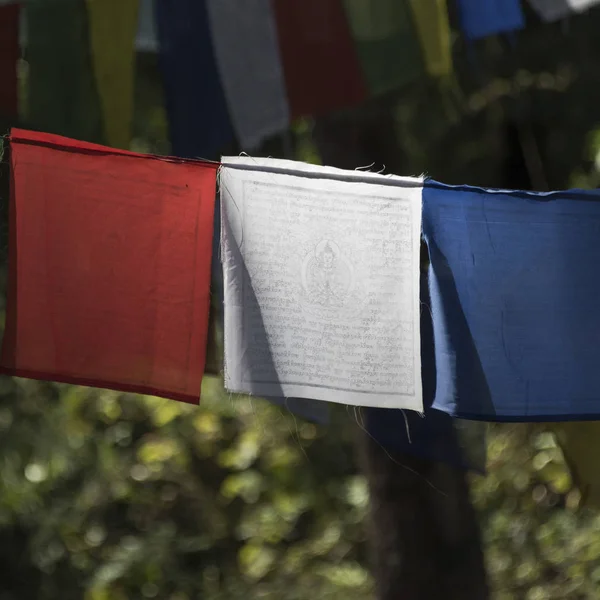 Primer Plano Banderas Oración Monasterio Taktsang Paro Distrito Paro Valle — Foto de Stock