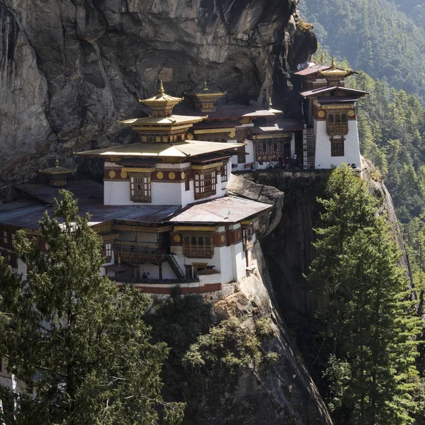 Zobacz Taktsang Klasztor Paro Paro District Dolina Paro Bhutan — Zdjęcie stockowe