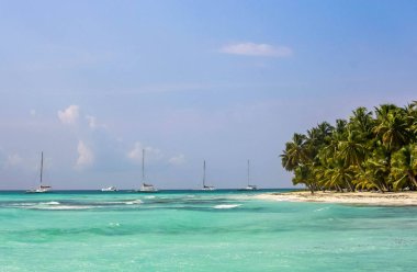 Yat ve tekneler ve mavi gökyüzü ile palmiye ağaçları ve altın plaj ve turkuaz ile tropikal bir ada 