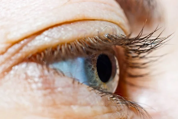 Side view of one gray young woman\'s eye framed by long black lashes was taken in macro mode without makeup