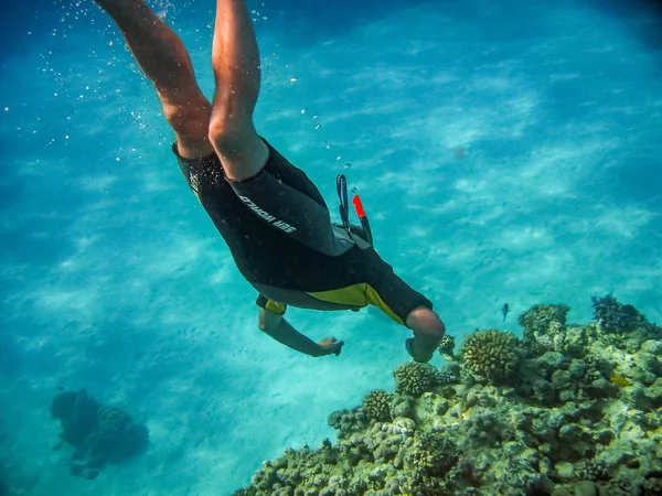 The underwater photo of a young man diving in a swimsuit and mask snorkel was taken in the Red sea in Egypt
