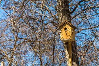 Sarı yeni tahtalar bir kuş evi kahverengi bir ağaç üzerinde asılı