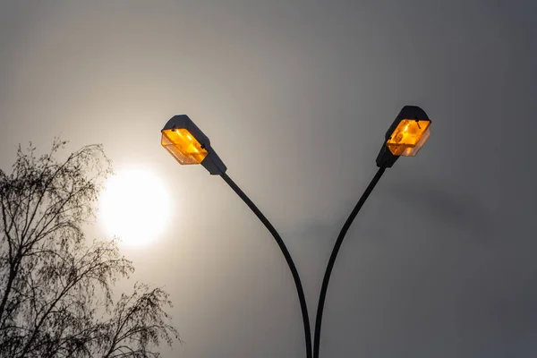 İki güzel sokak sarı dikdörtgen ışık feneri siyah çelik standlarda yansımalar ve yapraksız bir huş ağacı ve sonbaharda bir parkta gri gökyüzünde beyaz güneş.