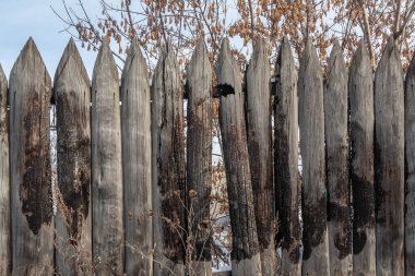 Mavi gökyüzü arka planında, düğümlü ve çivili eski gri tahtaların güzel yatay dokusu var.