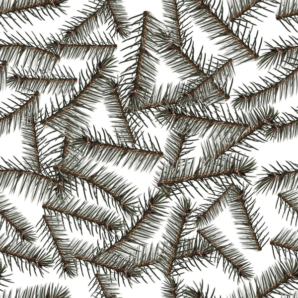 Zökkenőmentes minta textúra barna gallyak egy fenyő-fa zöld lucfenyő tűk újévi vagy karácsonyi dekoráció elszigetelt fehér alapon — Stock Fotó