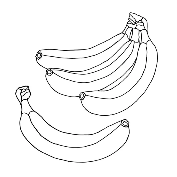 Groupe de belles bananes isolées sur fond blanc. Illustration pour livre à colorier. Doodle aux fruits — Image vectorielle