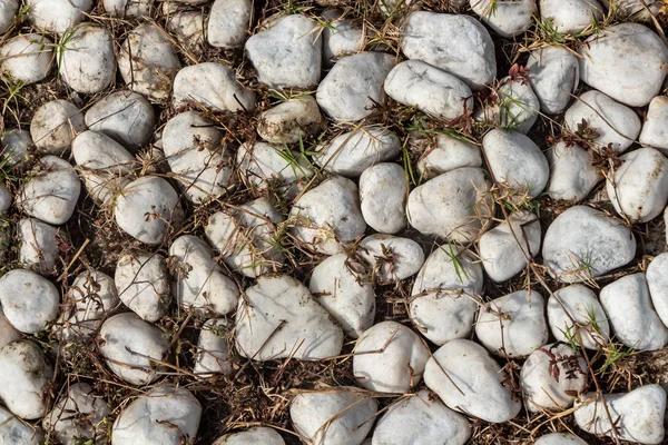 Bella consistenza del percorso di pietre lisce bianche con erba gialla è nel parco — Foto Stock