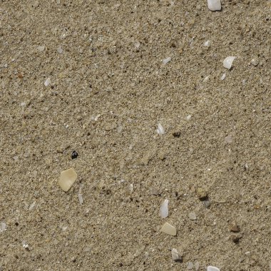 Fotoğrafta beyaz çakıl taşları ve kabuklu güzel sarı kumların kusursuz desenleri var.