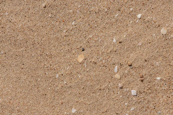 Beautiful horizontal texture of yellow sand with waves and shells is in the photo — Stock Photo, Image