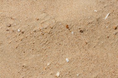 Fotoğrafta dalgalı ve kabuklu sarı kumların güzel yatay dokusu var.