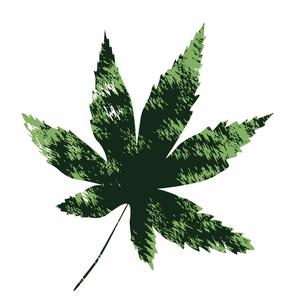 白地に一枚のカエデの葉の二色の緑のベクトル — ストックベクタ