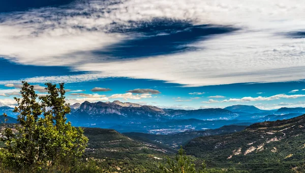 Belle vue sur les Alpes avec des arbres verts et un ciel bleu avec des nuages blancs en Suisse — Photo