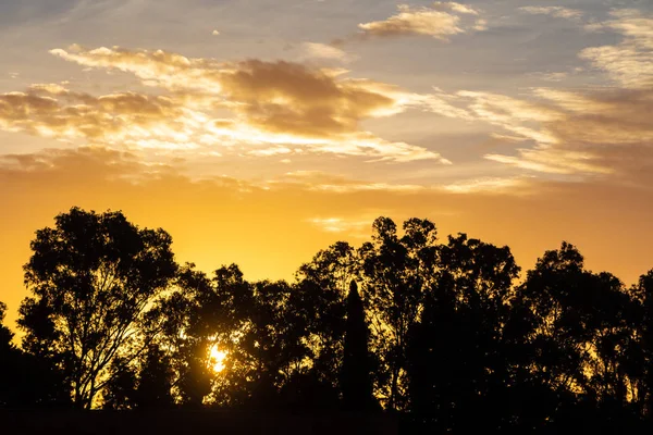 Es gibt eine Gruppe schwarzer Bäume auf dem schönen roten bunten Sonnenuntergang Himmel Hintergrund — Stockfoto