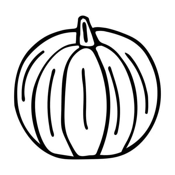 Vector outline illustration of a black fresh pumpkin is on a white background — Stock Vector