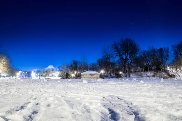 Stedelijke Winter Geschoten Parc Lafontaine Montreal Quebec Stockfoto
