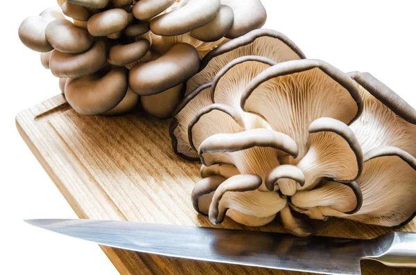 Приготування гриби — стокове фото