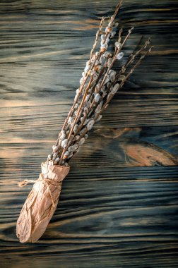 Söğüt dalları portre