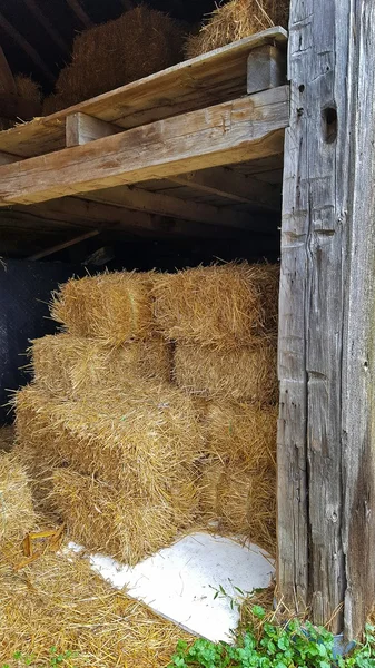 Hay bales in barn — Stock Photo, Image