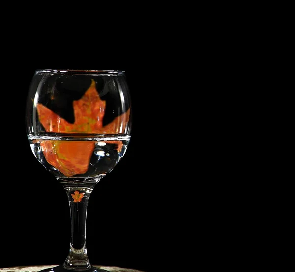 Autumn maple leaf in wine — Stock Photo, Image