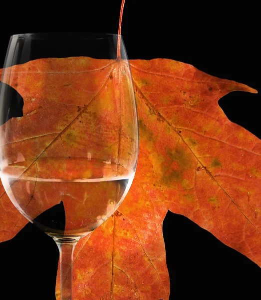 Wine glass and autumn maple leaf — Stock Photo, Image
