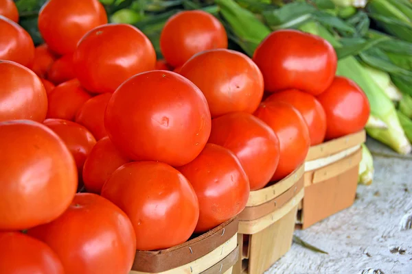 Ripe tomatoes and sweet corn — Stock Photo, Image
