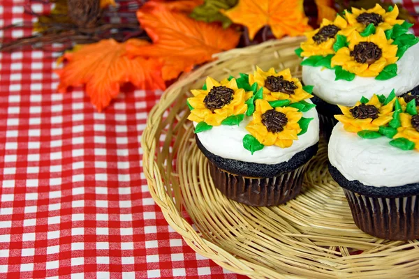 Autumn sunflower cupcakes — Stock Photo, Image