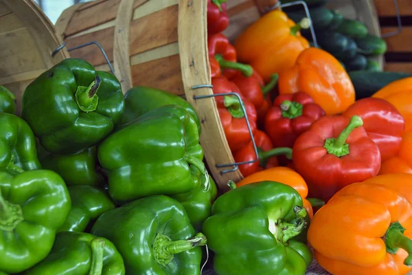 Variety of peppers with baskets — Stock Photo, Image